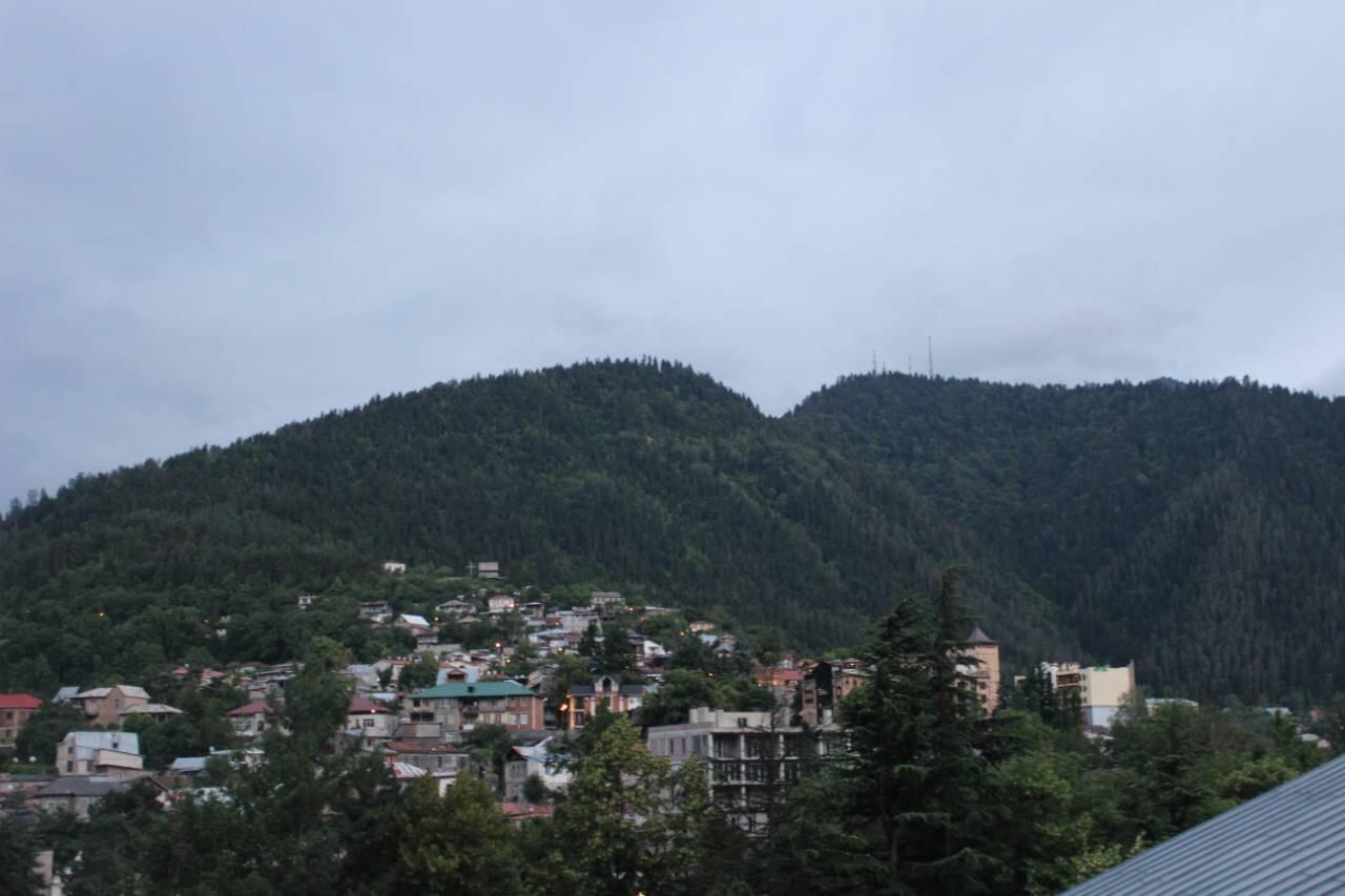 Diasamidzeebi Apartment Borjomi Exterior photo